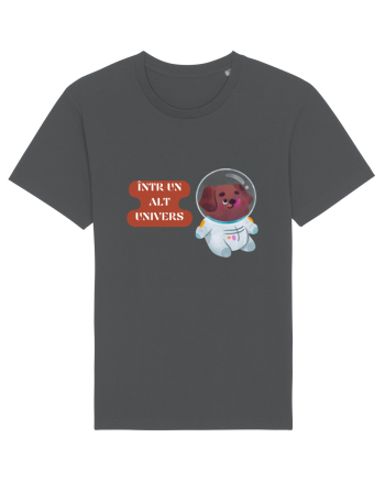 ÎNTR-UN ALT UNIVERS V3 Anthracite