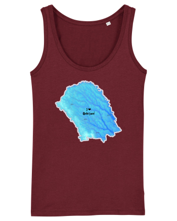 Botoșani County Map Burgundy