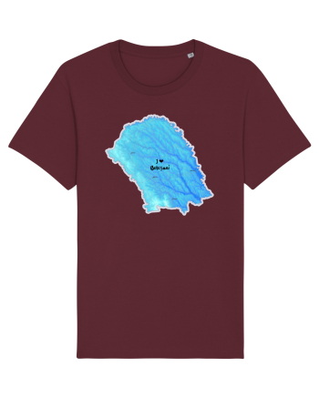 Botoșani County Map Burgundy