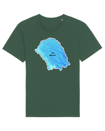Botoșani County Map Bottle Green