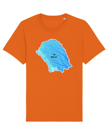 Botoșani County Map Bright Orange