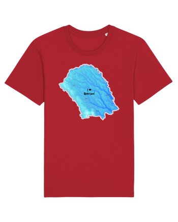 Botoșani County Map Red