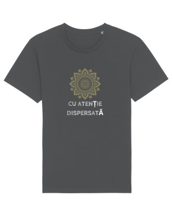 ATENȚIE DISPERSATĂ Anthracite