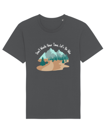 Don't Waste Your Time Let's Go Hike Anthracite