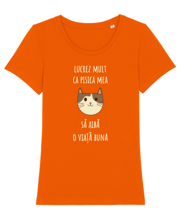 Pisica cu citat Bright Orange