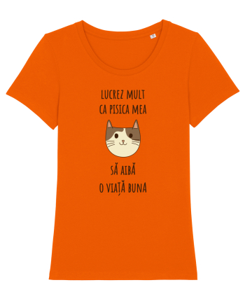 Pisica cu citat Bright Orange