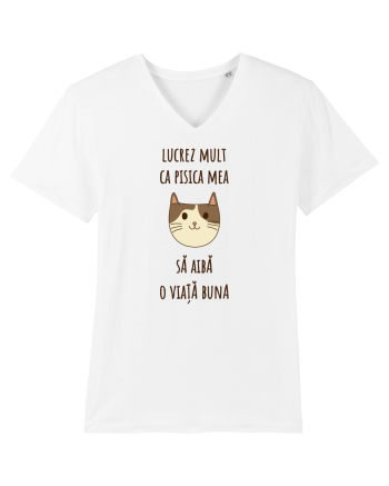 Pisica cu citat White