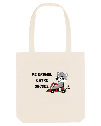 PE DRUMUL CĂTRE SUCCES V1 Natural
