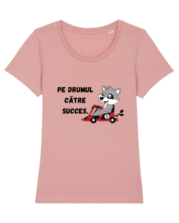 PE DRUMUL CĂTRE SUCCES V1 Canyon Pink