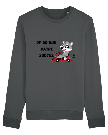 PE DRUMUL CĂTRE SUCCES V1 Anthracite