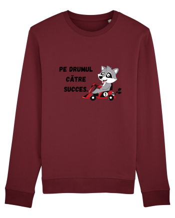 PE DRUMUL CĂTRE SUCCES V1 Burgundy