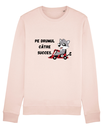 PE DRUMUL CĂTRE SUCCES V1 Candy Pink