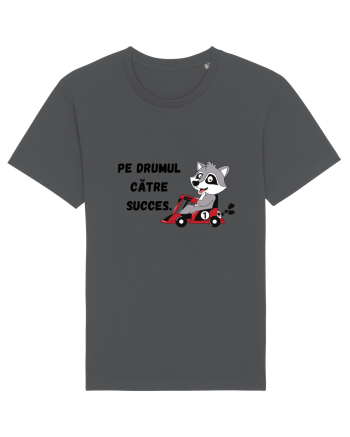 PE DRUMUL CĂTRE SUCCES V1 Anthracite
