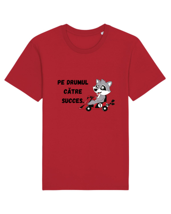 PE DRUMUL CĂTRE SUCCES V1 Red
