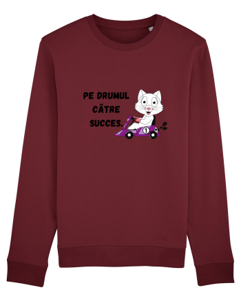 PE DRUMUL CĂTRE SUCCES V2 Burgundy