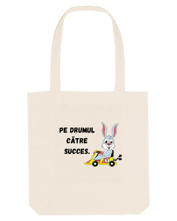 PE DRUMUL CĂTRE SUCCES V3 Natural