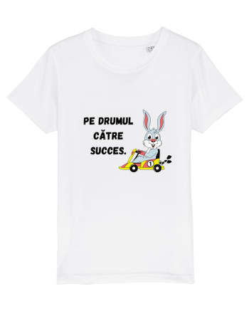 PE DRUMUL CĂTRE SUCCES V3 White