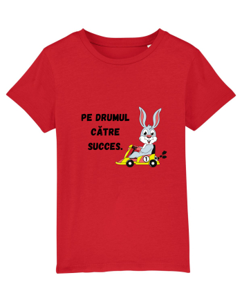 PE DRUMUL CĂTRE SUCCES V3 Red