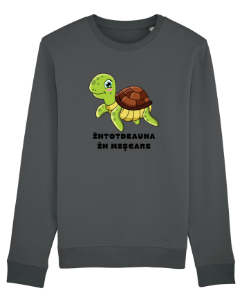 ÎNTOTDEAUNA ÎN MIȘCARE Anthracite