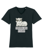 VIZIUNEA MEA E CLARĂ Tricou mânecă scurtă guler V Bărbat Presenter