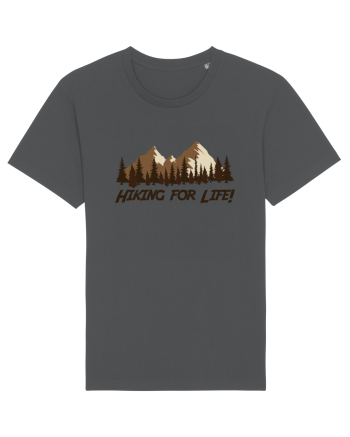Hiking for Life! Anthracite