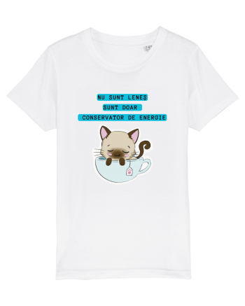 CONSERVATOR DE ENERGIE White