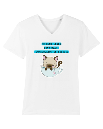 CONSERVATOR DE ENERGIE White