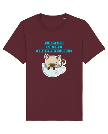 CONSERVATOR DE ENERGIE Burgundy