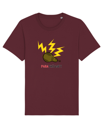 paraTRĂSNET Burgundy