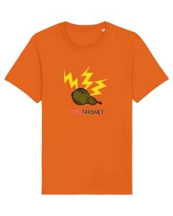 paraTRĂSNET Bright Orange