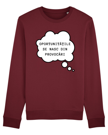 OPORTUNITĂȚILE SE NASC DIN PROVOCĂRI Burgundy