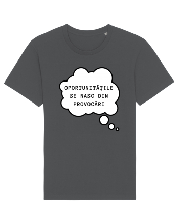OPORTUNITĂȚILE SE NASC DIN PROVOCĂRI Anthracite