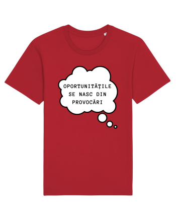 OPORTUNITĂȚILE SE NASC DIN PROVOCĂRI Red