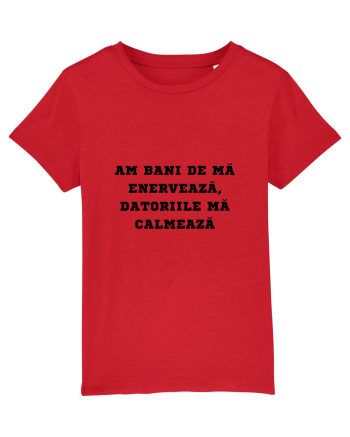 AM BANI DE MĂ ENERVEAZĂ - DATORIILE MĂ CALMEAZĂ Red