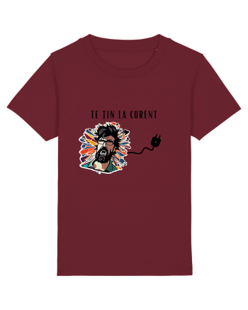 TE ȚIN LA CURENT V2 Burgundy