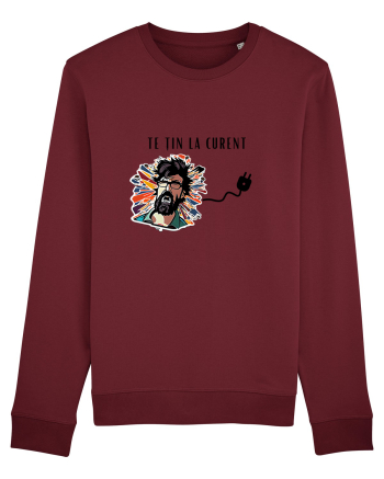TE ȚIN LA CURENT V2 Burgundy