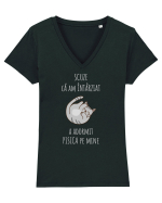Pisica Adormita cu Citat Tricou mânecă scurtă guler V Damă Evoker