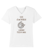Pisica Adormita cu Citat Tricou mânecă scurtă guler V Bărbat Presenter