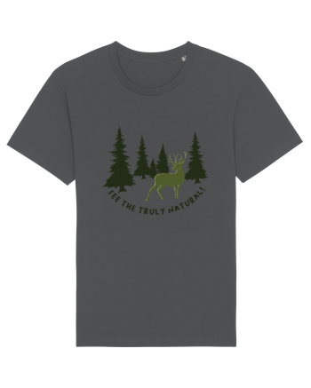 See the Truly Natural Anthracite