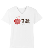 Martisor Tricou mânecă scurtă guler V Bărbat Presenter