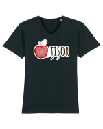 Martisor Tricou mânecă scurtă guler V Bărbat Presenter