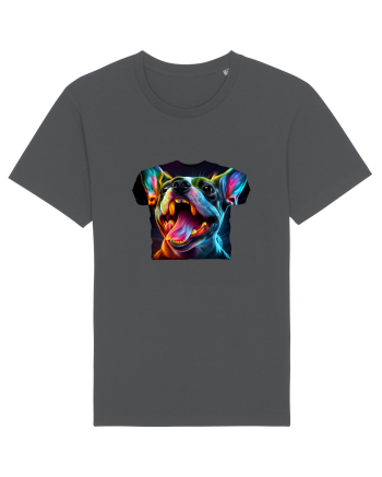 VIS ÎN VIS - TRICOU ÎN TRICOU - V4 Anthracite