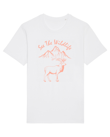 See the Wildlife White