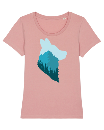 Sky Above, Earth Below, Peace Within! Canyon Pink