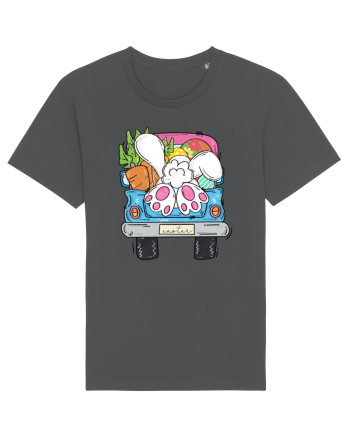 Funny Easter Truck Anthracite
