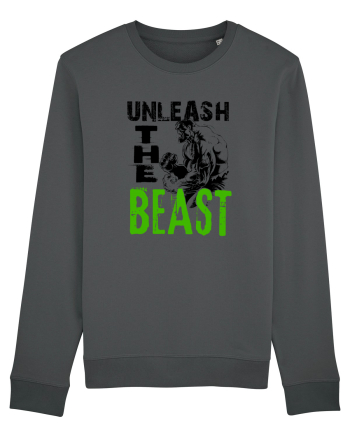 Unleash the Beast Anthracite