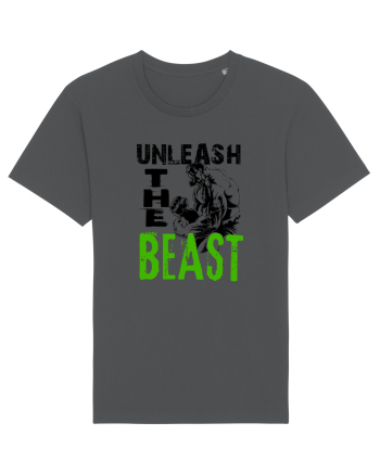 Unleash the Beast Anthracite