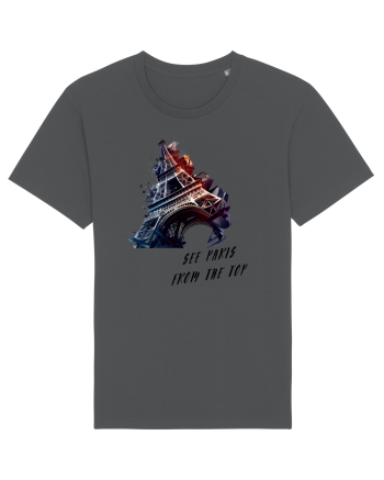 SEE PARIS FROM THE TOP Anthracite