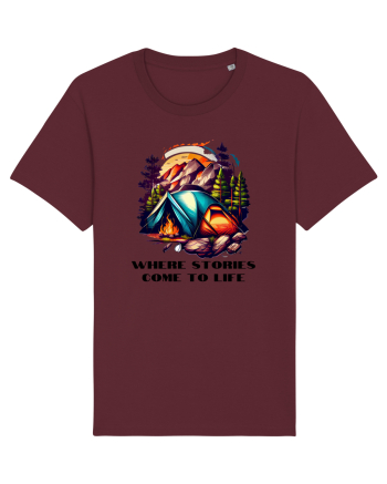 STORIES COME TO LIFE - V5 Burgundy