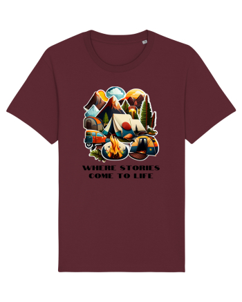 STORIES COME TO LIFE - V6 Burgundy